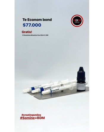 TE-ECONOM BOND